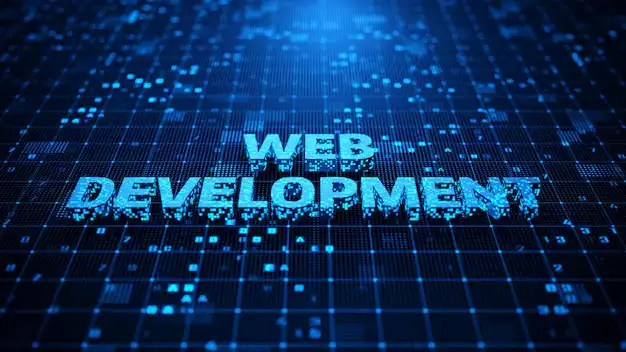 Custom Website Development Veborra